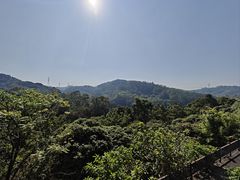 -东莞市大岭山森林公园