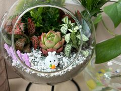 -花鸟鱼虫鲜花绿植市场(玉泉路店)