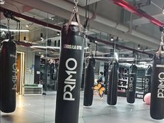 -花环泰拳·勒德斯拉泰拳馆(静安店)