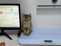 -福州肆爪动物医院