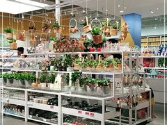 -KKV(重庆光环购物公园店)