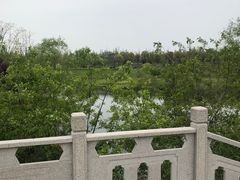 -上海长兴岛郊野公园