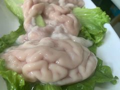 -蚝专家