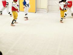 -勇气斑马·巴西柔术&跆拳道(浦东三林店)