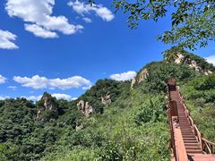 -大岭沟猕猴桃谷风景区
