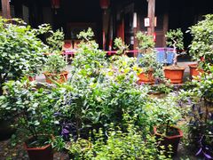 -金华市剪纸博物馆