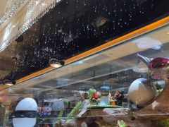 -红辣椒·川菜·火锅(张杨路店)