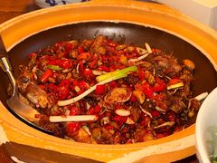 -田小狗的饭店(碧桂园店)