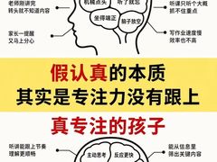 -金色雨林感统训练·专注力·语言认知·心理沙盘(天通苑校区)
