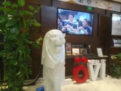 -洁铭新加坡医美