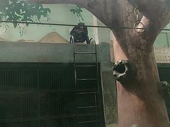 -石家庄市动物园