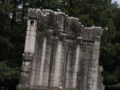 -音乐台
