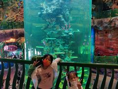 -青岛嘉年华主题乐园