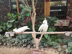 -南宫五洲植物乐园