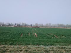 -汉长安城未央宫国家考古遗址公园