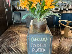 -Apollo·西班牙小酒馆(安福路店)