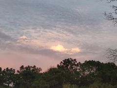 -东湖磨山景区