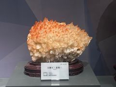 -湖南省地质博物馆