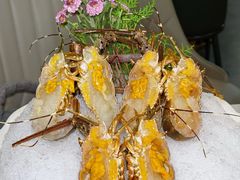 -喜聚薈·花膠雞海鮮火鍋(越秀店)