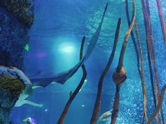 -沈阳海洋探索中心