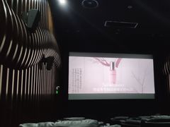 -天幕新彩云国际影城(激光巨幕店)