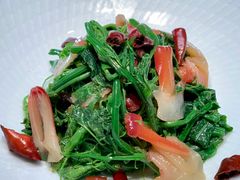 丝瓜苗拌兰花蚌-映水芙蓉(长宁来福士店)