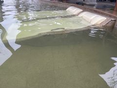 -思念果岭悦温泉