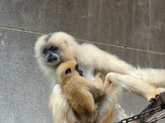 -昆明动物园