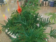 -重庆江北国际机场-T2航站楼