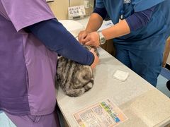 -萌兽医馆·犬猫专科·眼科中心·宠物医院(朝阳门分院)