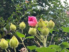 -狼山风景名胜区