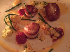 -Sketch(The Lecture Room & Library)