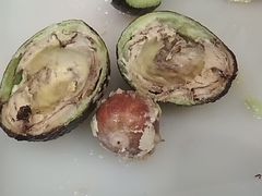 -江杨农产品批发市场