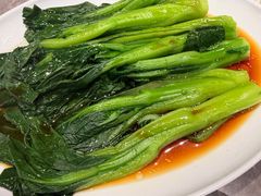 -莱莱小笼·乔艾