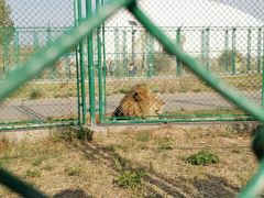 -鄂尔多斯野生动物园