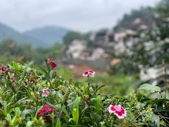 -篁岭景区