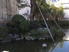 -仙芋传奇(黄山黎阳in巷店)