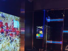 -温莎KTV(国贸店)