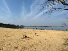 -瑶湖郊野森林公园