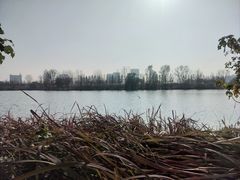-金银湖国家城市湿地公园