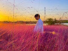 -小岭南壹号院私房菜