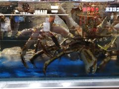 -盒马鲜生(红莲店)
