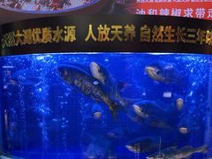 -潇湘码头·鲜湘菜(清河店)