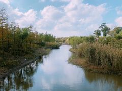 -上海长兴岛郊野公园