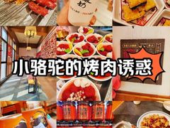-福苗小骆驼烧烤(大唐不夜城店)