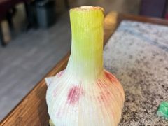 -华盛园卷子王农家菜水库鱼
