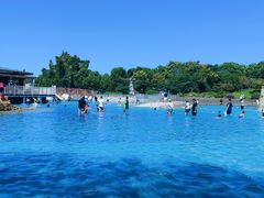 -上海月湖雕塑公园