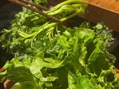 -额尔敦草原涮羊肉·烧烤(冻青树总店)