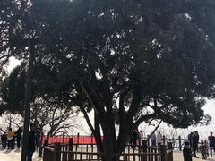 -狼牙山风景区