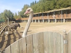 -鄂尔多斯野生动物园